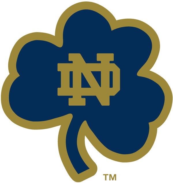 Notre Dame Fighting Irish 1994-Pres Alternate Logo t shirts DIY iron ons v18